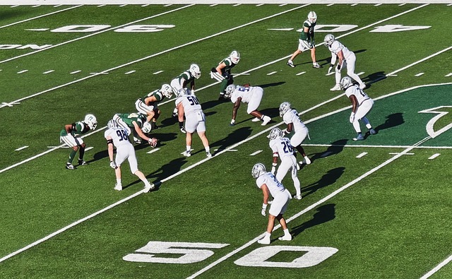 功的案例可 功的案例可