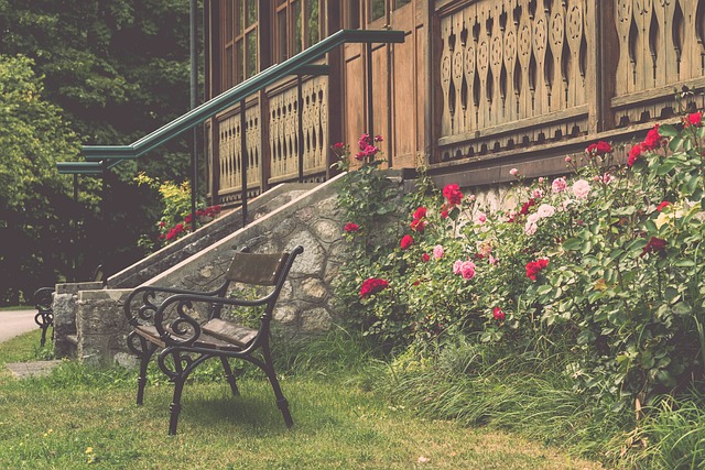 爱好者应关 爱好者应关