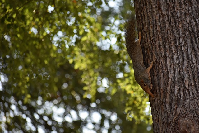 准的底线击 准的底线击